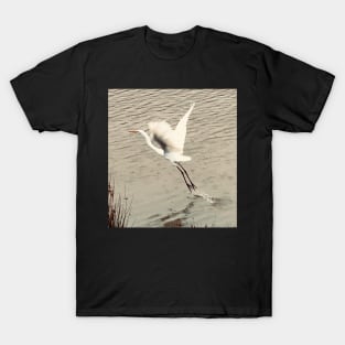 Soaring Egret T-Shirt